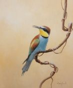 D F ENGLAND (CONTEMPORARY, BRITISH) EUROPEAN BEE EATER watercolour, signed lower right 16 x 12ins