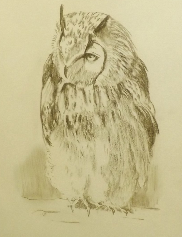 AFTER ANTHONY LOUSADA (1907-1994, BRITISH) OWL sepia print 10 x 7ins