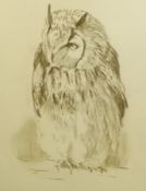 AFTER ANTHONY LOUSADA (1907-1994, BRITISH) OWL sepia print 10 x 7ins