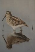 SNIPE pastel, indistinctly signed lower right 15 x 11ins unframed