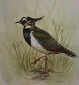 J WILDING (20TH CENTURY, BRITISH) KINGFISHER AND LAPWING pair of watercolours, signed and dated 84/