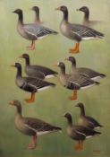 SIR PETER MARKHAM SCOTT (1909-1989, BRITISH) GEESE STUDIES oil on canvas, signed and dated 1950,
