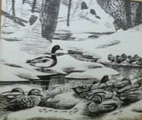 Y O (20TH CENTURY) MALLARD AND TEAL BY WATER’S EDGE black and white illustration, monogrammed