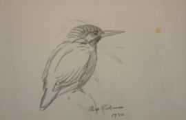 PHILIP RICKMAN (1891-1982, BRITISH) KINGFISHER pencil drawing, signed and dated 1970 4 ½ x 7ins