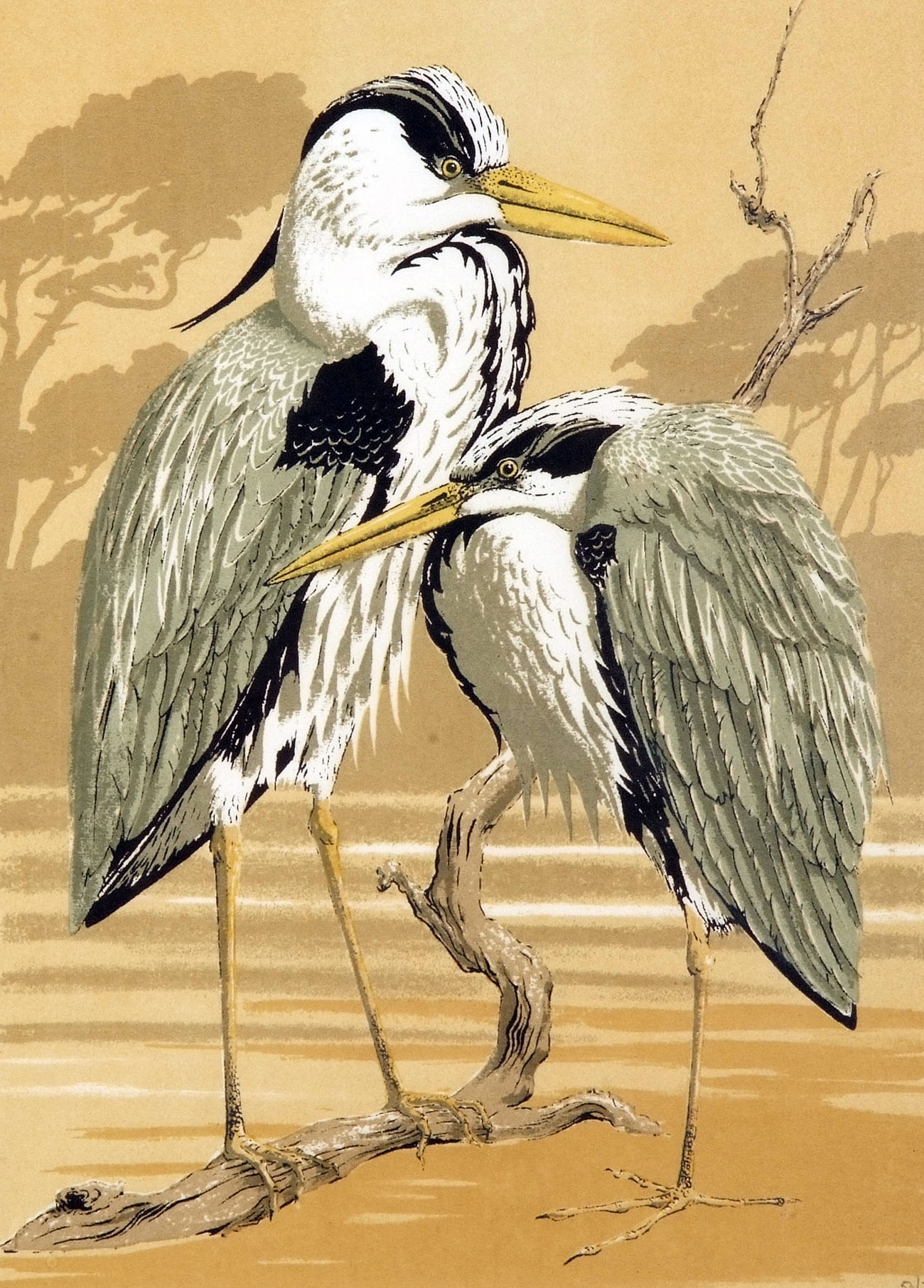 JOHN TENNENT (BORN 1926, BRITISH) HERONS coloured limited edition woodblock, signed, dated 1970,