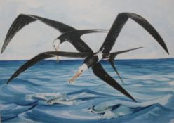 RON GERLACH (CONTEMPORARY, BRITISH) FRIGATE BIRDS watercolour, signed and inscribed Seychelles lower