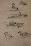 * ROLAND GREEN (1890-1972, BRITISH) GADWALL pencil drawing, signed and inscribed with title lower