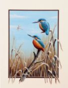 MARK CHESTER (CONTEMPORARY, BRITISH) AMONGST THE REEDS (KINGFISHERS) acrylic, signed lower right