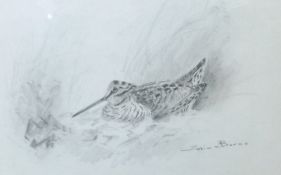 * COLIN W BURNS (BORN 1944, BRITISH) WOODCOCK pencil drawing, signed, lower right 5 x 7 ½ins