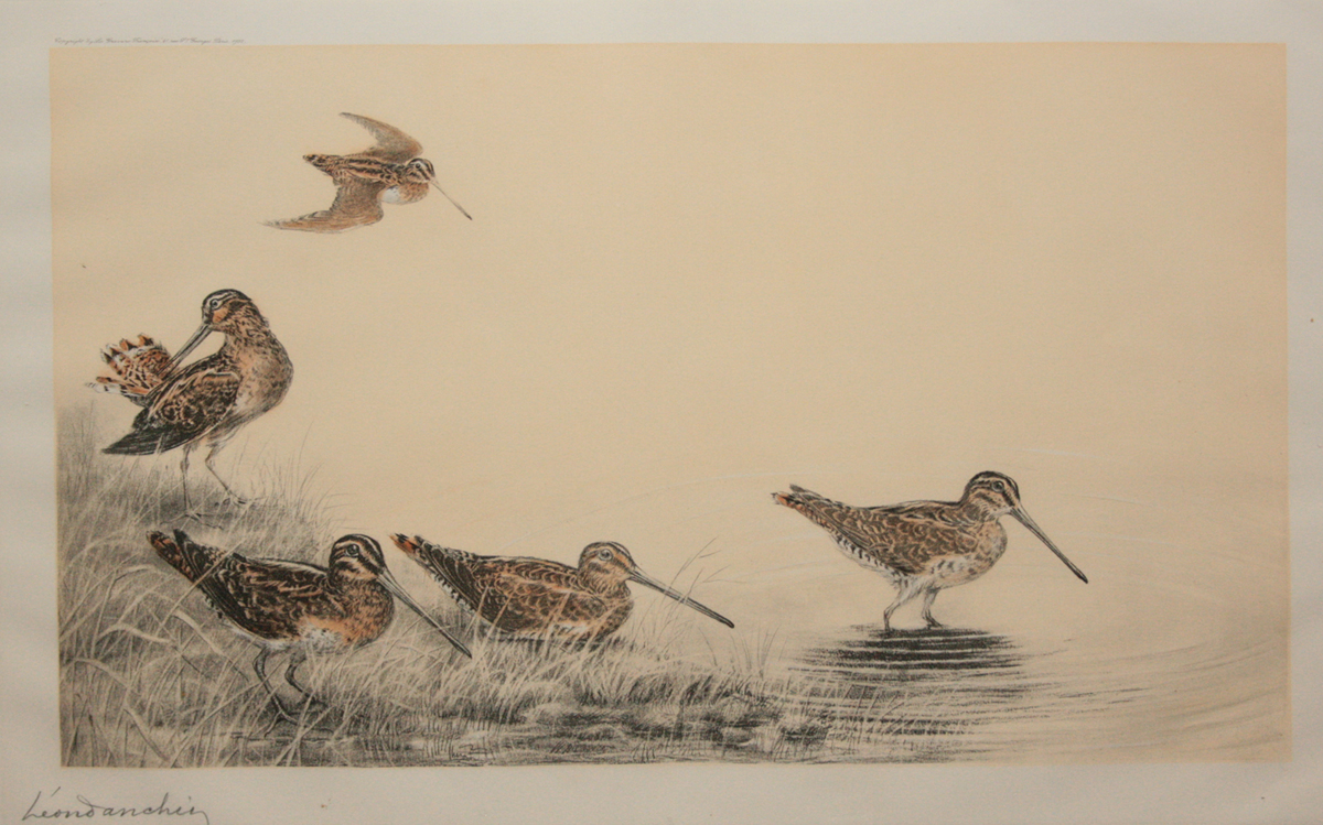 LEON DANCHIN (1887-1938, FRENCH) FIVE SNIPE hand coloured lithograph published 1932, signed in