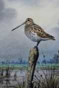 CARL DONNER (CONTEMPORARY, BRITISH) SNIPE ON A POST watercolour, signed lower left 6 x 4ins