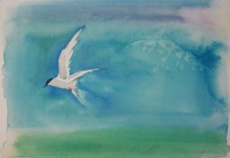 MICK CHAVE (CONTEMPORARY, BRITISH) BIRD STUDIES folder of various unframed watercolours and drawings
