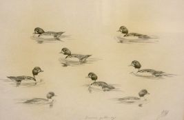 * JOHN CYRIL HARRISON (1898-1985, BRITISH) BARROWS GOLDEN EYE pencil drawing, initialled lower right