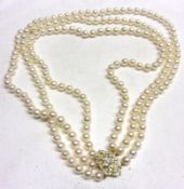 A good Triple Strand of Cultured Pearls (7mm diameter) and having a Diamond mounted filigree 18ct