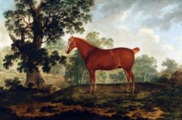 19TH CENTURY ENGLISH SCHOOL, OIL ON CANVAS, Horse in Landscape, 23” x 35”