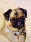 J H B, INITIALLED AND DATED 1895, OIL ON BOARD, A Pug Dog, 11” x 9”