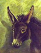 UNSIGNED, OIL ON BOARD, Head Study of a Donkey, 17” x 13”