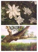 KIT LAWS, SIGNED, GROUP OF FOUR OILS/PASTELS, Floral Studies, assorted sizes (4)