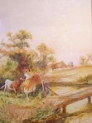 J BARCLAY, SIGNED, WATERCOLOUR, Young Girl with Calf by Riverside, 17” x 11”