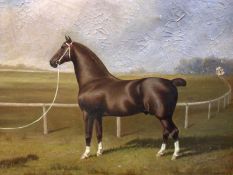 CLARK, SIGNED, OIL ON CANVAS, Racehorse by Track, 19” x 23” (A/F)