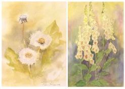 PATRICIA KIRK, SIGNED, WATERCOLOUR, “Foxgloves”, 9” x 6”; together with one further Watercolour by a