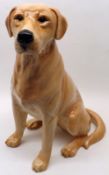 A large Royal Doulton Model of a seated yellow Labrador, the base impressed with No 2314, 13” high