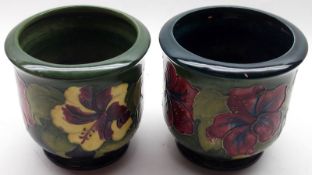 A pair of small Moorcroft Hibiscus pattern Jardinières, one decorated in colours on a green