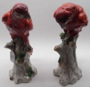 A near pair of Sitzendorf Models of perched parrots with iron red bodies and green and