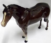 A Beswick Thoroughbred Stallion, Model 1772, brown gloss finish, 8” high