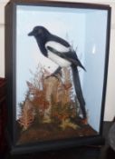 A 20th century cased Magpie with naturalistic surround, 14” wide