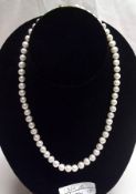 A white cultured Pearl single strand Necklace, 40cm long.