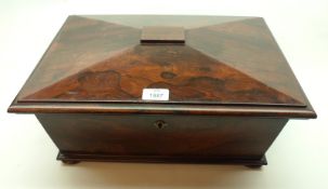 A large early 19th Century Rosewood Large Sarcophagus-shaped Tea Caddy of rectangular form, the