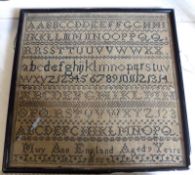 A framed Needlework Sampler, stitched in black with rows of letters, numbers, signed Mary Ann