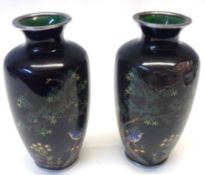 A pair of decorative Cloisonné small baluster Vases, each decorated with birds perched amidst