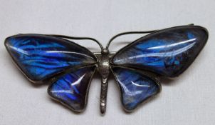 A probably South American vintage butterfly wing Butterfly Brooch stamped verso “Stirling Silver”