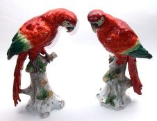 A near pair of Sitzendorf Models of perched parrots with iron red bodies and green and