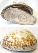 A Georgian Silver Mounted Cowrie Snuff Box, the hinged lid with bright cut engraving including a
