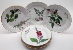 A Collection of six 19th Century Wedgwood Plates, decorated in colours with Botanical patterns on