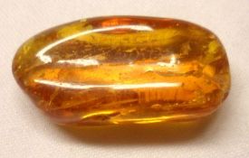A Nugget of Natural Baltic Amber with Certificate, approximately 11 ½ gm