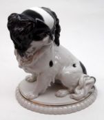 A Thuringia Model of King Charles Spaniel, black body markings, on a gilt rimmed base, 9” high