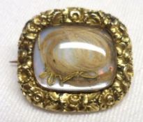 A Victorian Gold Framed Mourning Brooch, of shaped rectangular form, having foliate engraved edge