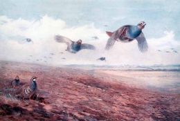 ARCHIBALD THORBURN (1860-1935, BRITISH) Signed in pencil to margin Set of twelve Coloured Prints (