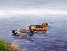* RICHARD ROBJENT (BORN 1937, BRITISH) Signed and Dated 1981 Watercolour Pair of Gadwall 9” x 12”
