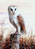 MARK CHESTER (CONTEMPORARY, BRITISH) Signed Acrylic on Board“Evening Rest, Barn Owl” 14 ½” x 10”
