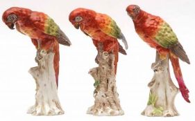 A collection of three European Models of perched parrots, all similarly decorated in iron red and