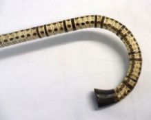 A Marine Vertebrae Walking Cane, of typical form with steel core (some losses), length 36”