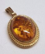 An Amber Set 9ct Gold Framed Oval Pendant with rope twist edge, approximately 20mm drop