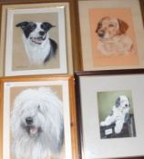 REX FLOOD, SIGNED WITH VARIOUS DATES, GROUP OF THREE WATERCOLOURS AND ONE OIL, Dog Studies, assorted