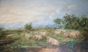 UNSIGNED, OIL, Sheep in Landscape, 11” x 17”