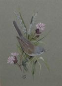 KENNETH J WOOD, SIGNED AND DATED 1990, WATERCOLOUR, “Whitethroat”, 8” x 5 ½”
